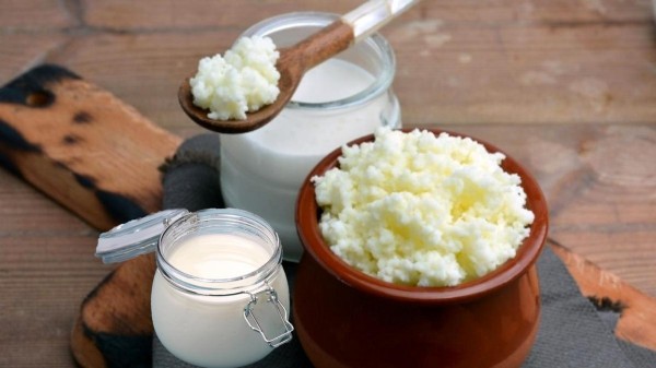 Evde Kefir Nasıl Yapılır? Evde Kefir Mayası Nasıl Yapılır?